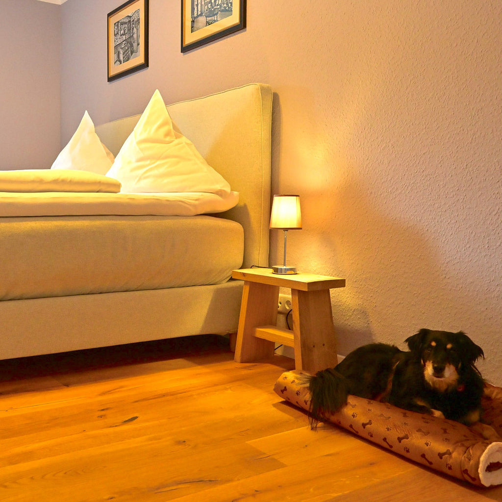 Ritterstuben mit Hund